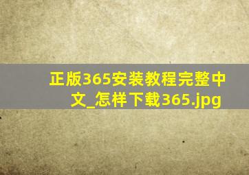 正版365安装教程完整中文_怎样下载365