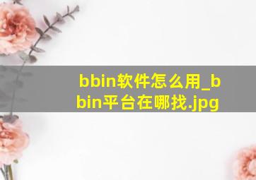 bbin软件怎么用_bbin平台在哪找
